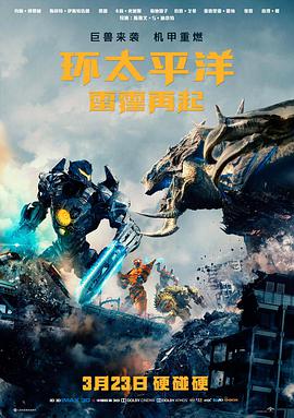 雾港谜案热播榜第一